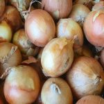 De ce se plantează împreună ceapa și morcovii: duo-ul dovedit pentru patul înalt de-ce-se-planteaza-impreuna-ceapa-si-morcovii-duo-ul-dovedit.jpg